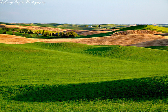 Palouse scene