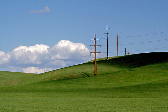 Palouse patterns