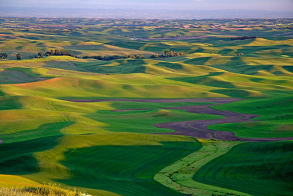 The Palouse