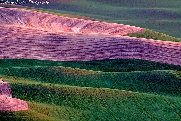 Palouse patterns
