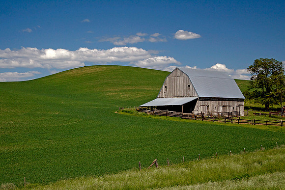 Palouse patterns