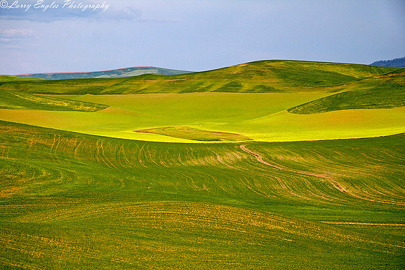 Palouse patterns