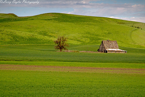 Palouse patterns