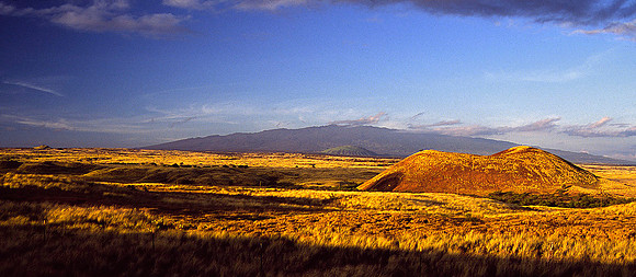 Summer 2004