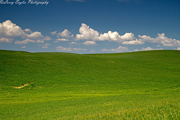 Windows XP Opening Scene?