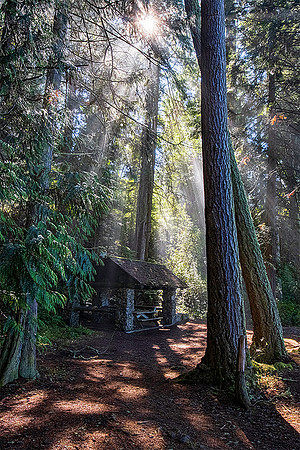 Sun rays