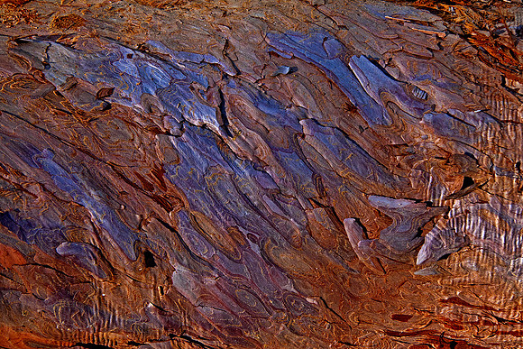 Bark patterns