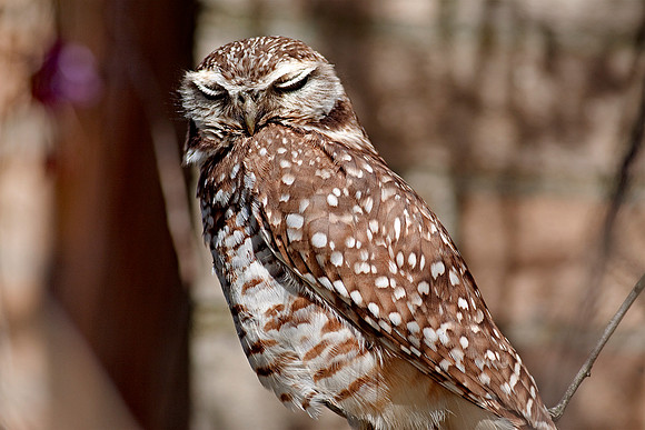 You gotta love those eyelashes!