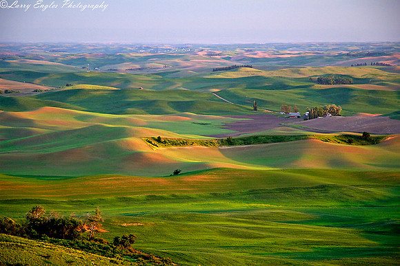 Palouse patterns